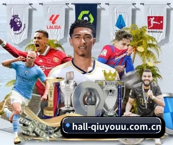 hall-qiuyouu.com.cn APP